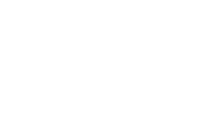 Elle White Logo