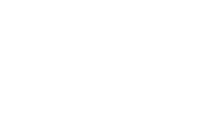 New York Times White Logo