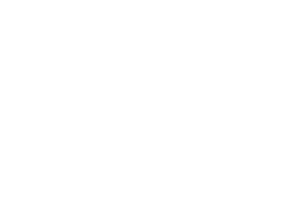 Shape White Logo